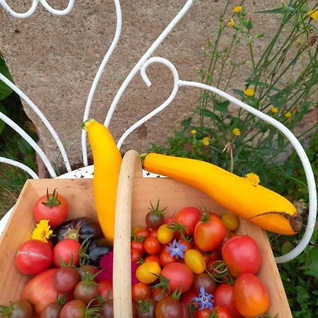 Pause Douceur Frühstückspension